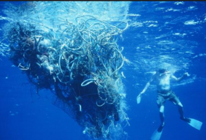 The Great Pacific Garbage Patch